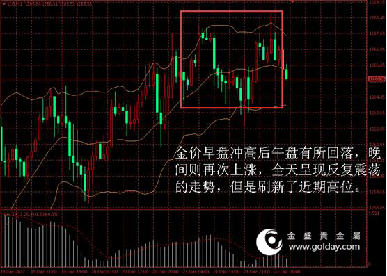 金盛盈富黄金价格走势