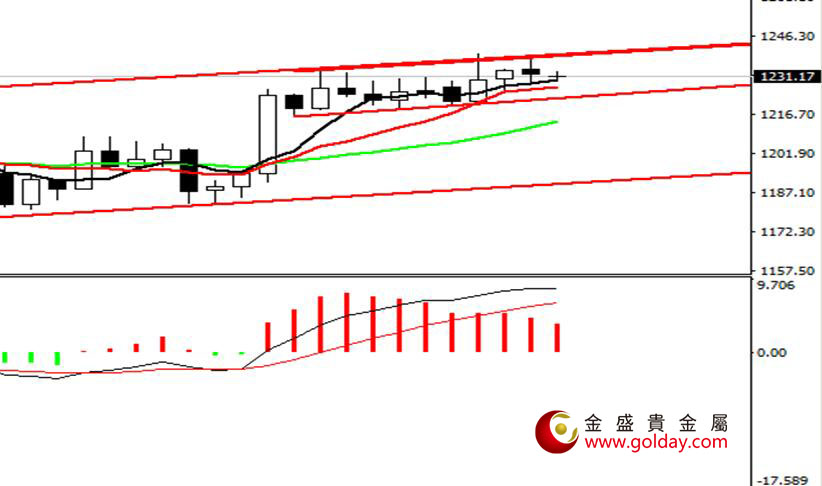 金盛盈富 现货黄金日线图